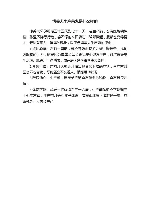 博美犬生产前兆是什么样的