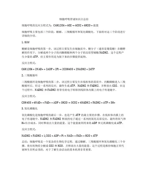 细胞呼吸背诵知识点总结