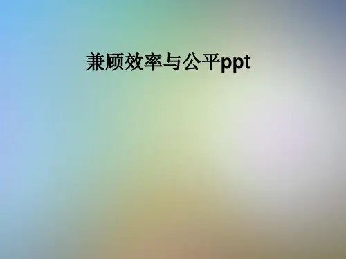兼顾效率与公平ppt