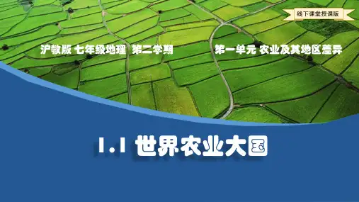 沪教版初中地理 七年级 第二学期 1.1世界农业大国