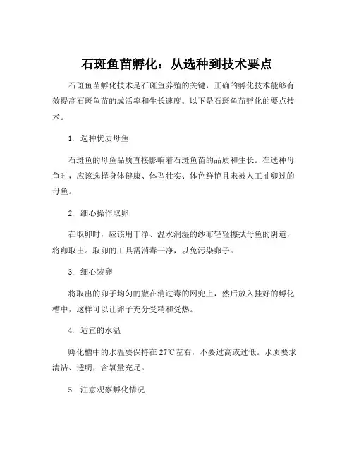 石斑鱼苗孵化技术