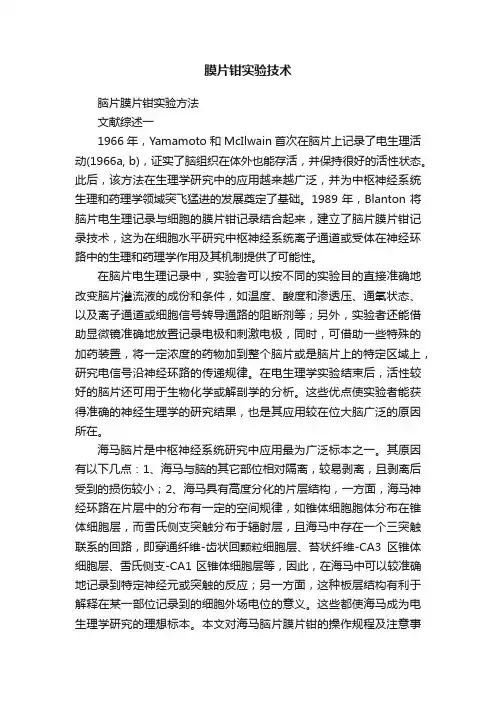 膜片钳实验技术