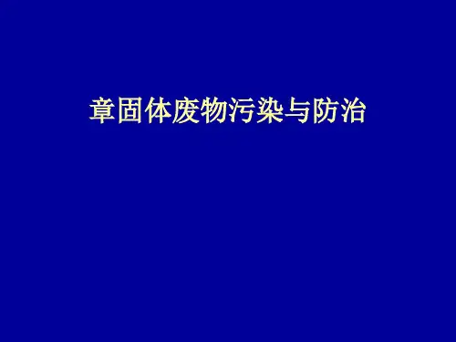 固体废物污染与防治(ppt42张)