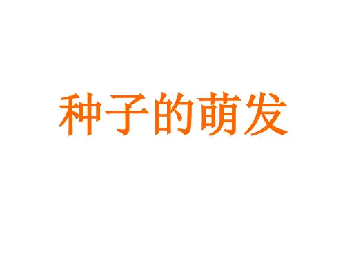 教科版小学四年级下册科学 第二单元 新的生命 5 种子的 萌发14张PPT)