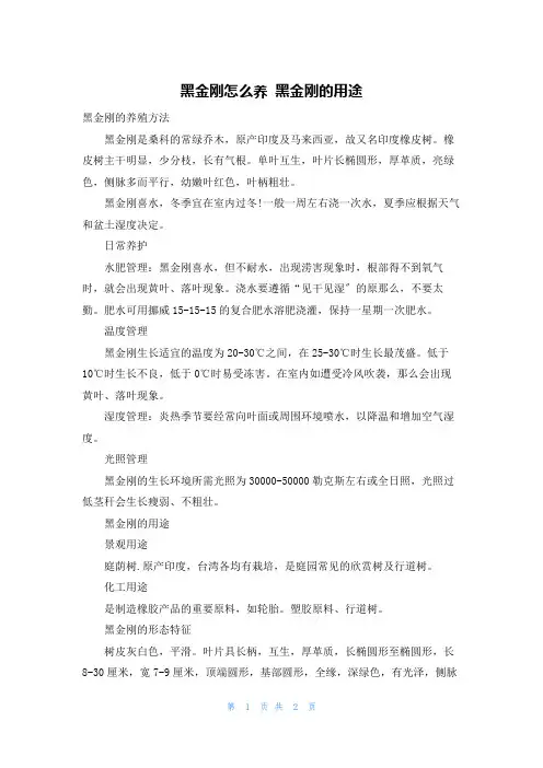 黑金刚怎么养 黑金刚的用途