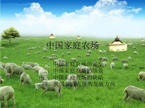 中国家庭农场