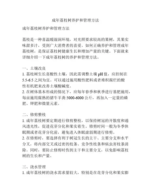 成年荔枝树养护和管理方法