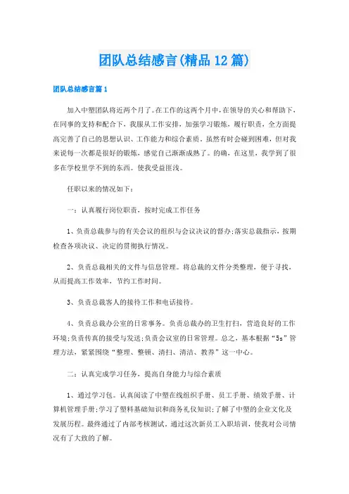 团队总结感言(精品12篇)