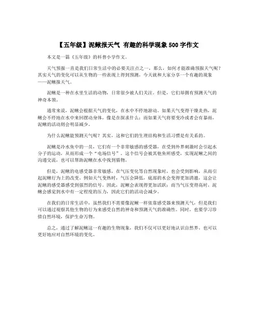 【五年级】泥鳅报天气 有趣的科学现象500字作文