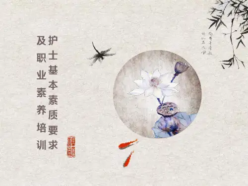 护士基本素质要求及职业素养培训
