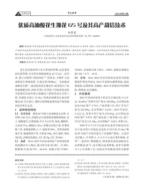 优质高油酸花生豫花65号及其高产栽培技术
