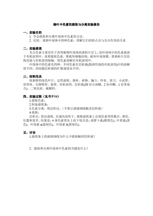 色素的提取于分离实验报告