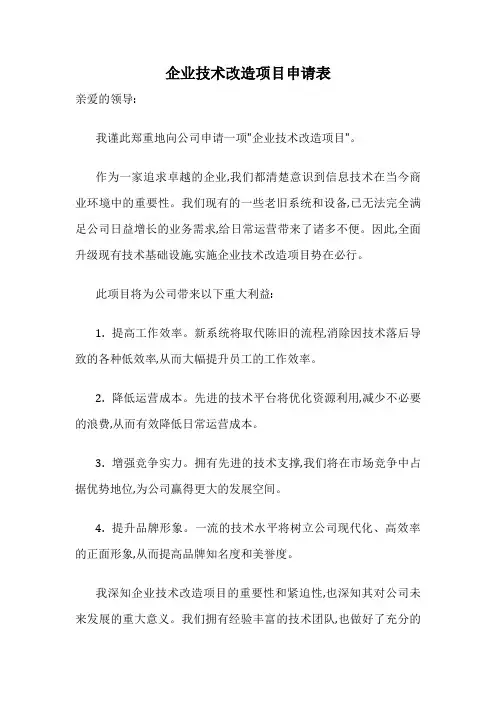 企业技术改造项目申请表