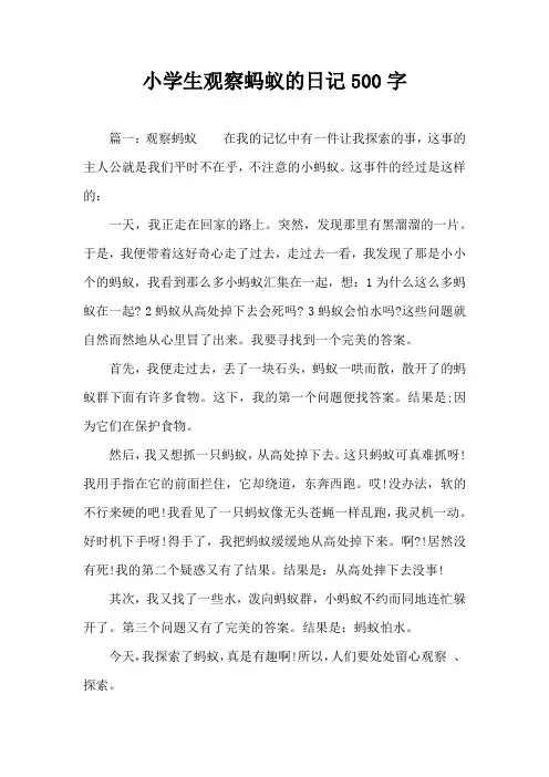 小学生观察蚂蚁的日记500字