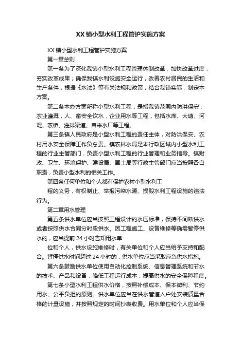 XX镇小型水利工程管护实施方案