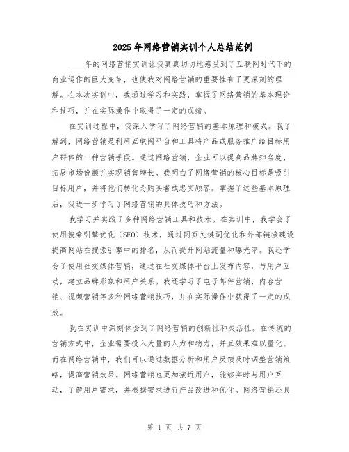 2025年网络营销实训个人总结范例（3篇）