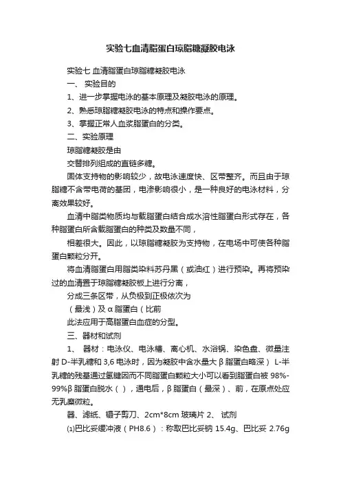 实验七血清脂蛋白琼脂糖凝胶电泳