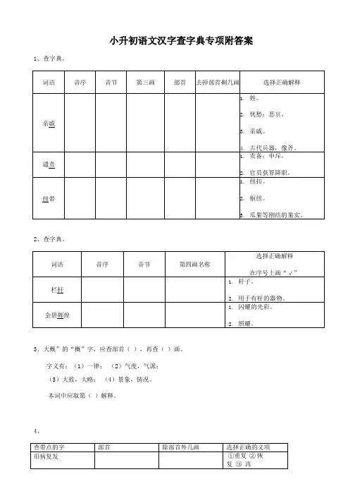 2020小升初语文汉字查字典专项练习题及答案