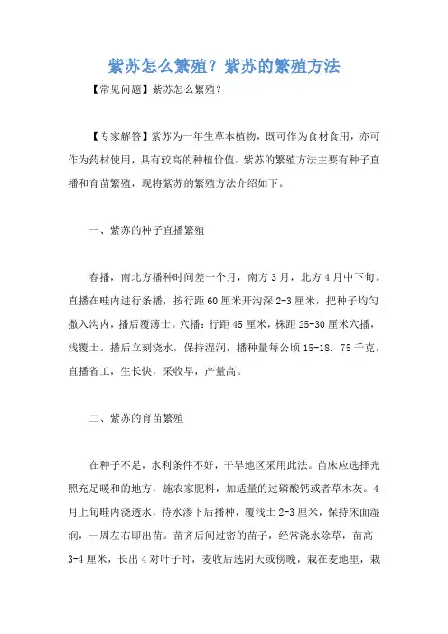 紫苏怎么繁殖？紫苏的繁殖方法