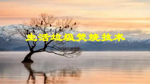 (完整版)生活垃圾焚烧技术