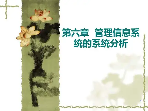 第六章管理信息系统的系统分析PPT课件