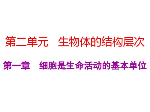 中考生物总复习课件：第二单元第一章 细胞是生命活动的基本单位 (共55张PPT)