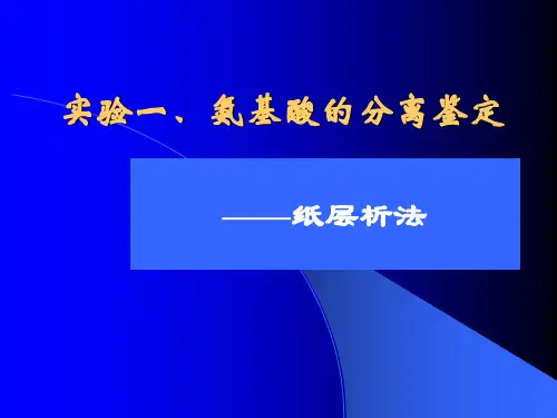 实验氨基酸分离鉴定