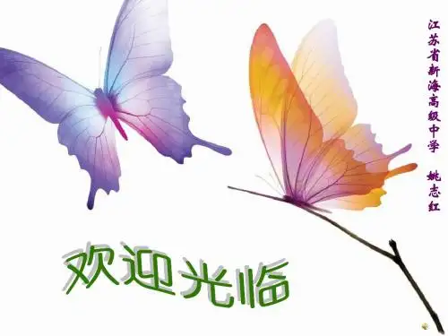 化学实验方案设计初探