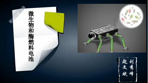 微生物燃料电池