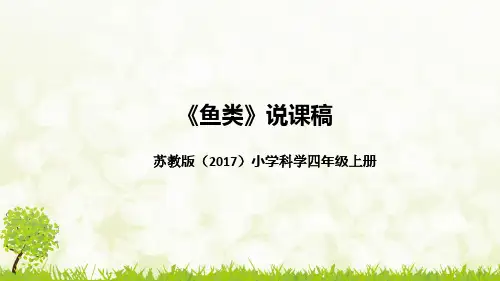 新教材苏教版(2017)小学科学四年上册《鱼类》说课稿(附板书)课件PPT