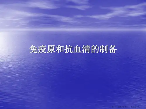 免疫原及抗血清制备