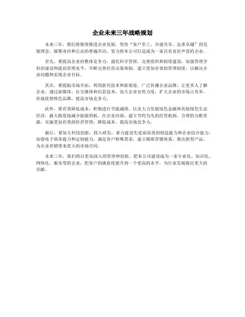 企业未来三年战略规划