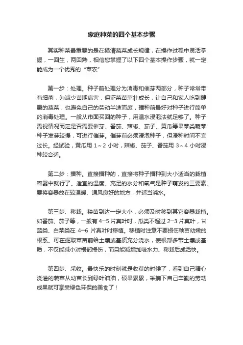 家庭种菜的四个基本步骤