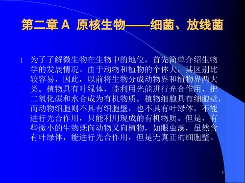 [精选]第二章A原核生物细菌放线菌资料PPT课件