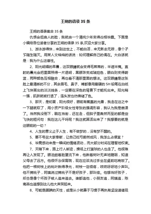 王朔的语录35条