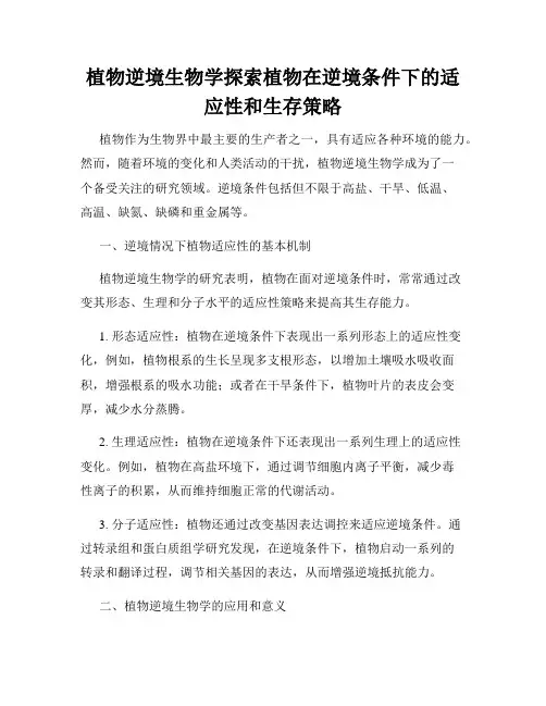 植物逆境生物学探索植物在逆境条件下的适应性和生存策略
