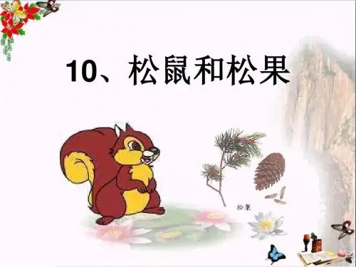《松鼠和松果》 精品PPT课件9
