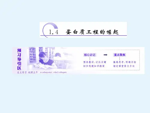 高二生物人教版选修三教学课件14蛋白质工程的崛起