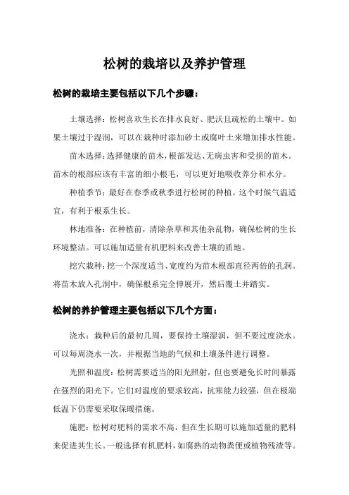 松树的栽培以及养护管理