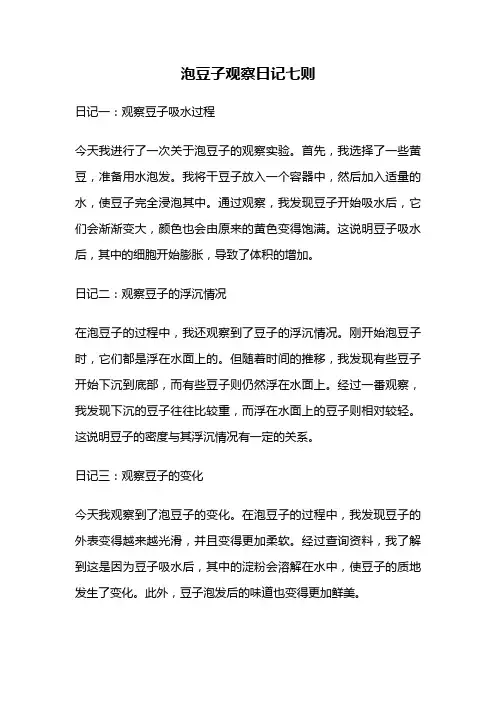 泡豆子观察日记七则