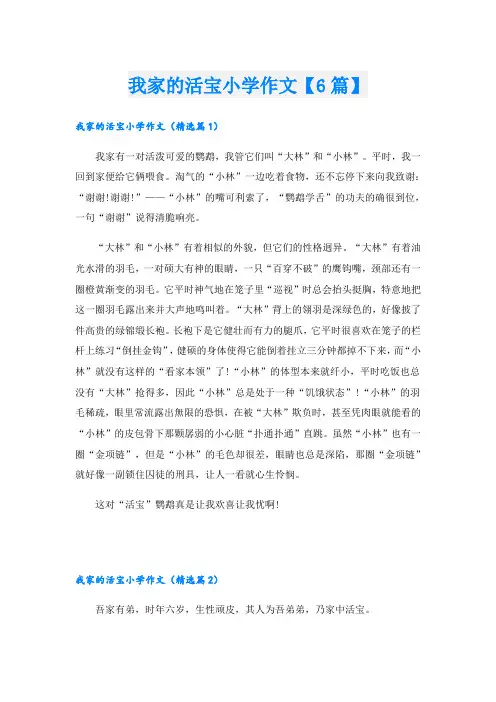 我家的活宝小学作文【6篇】