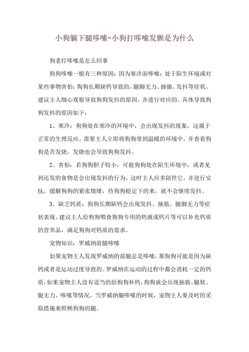 小狗躺下腿哆嗦-小狗打哆嗦发颤是为什么