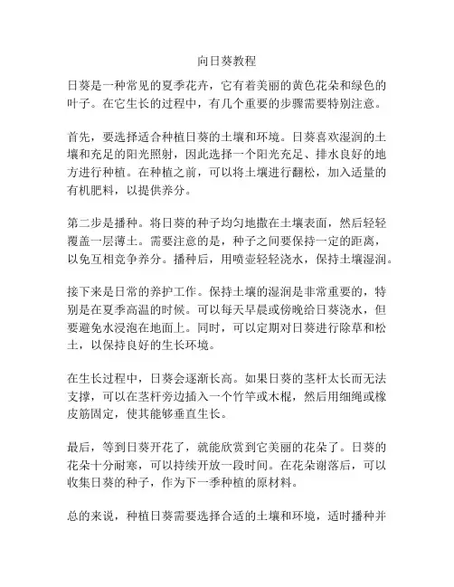 向日葵教程