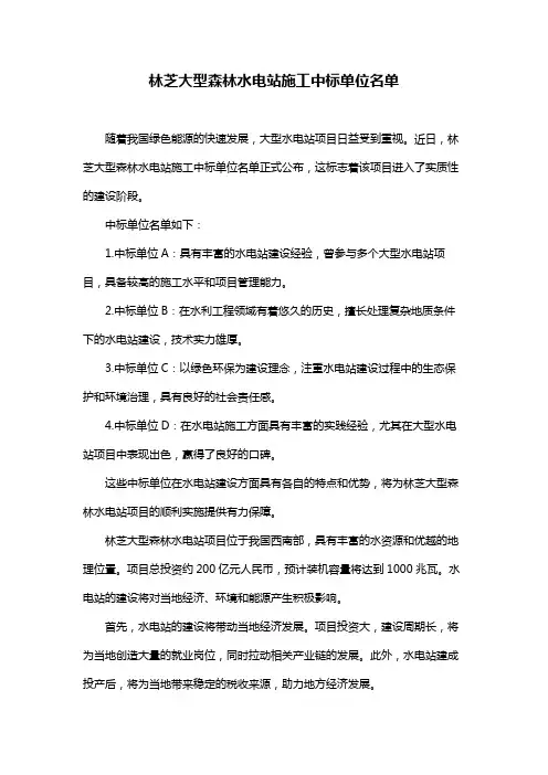 林芝大型森林水电站施工中标单位名单
