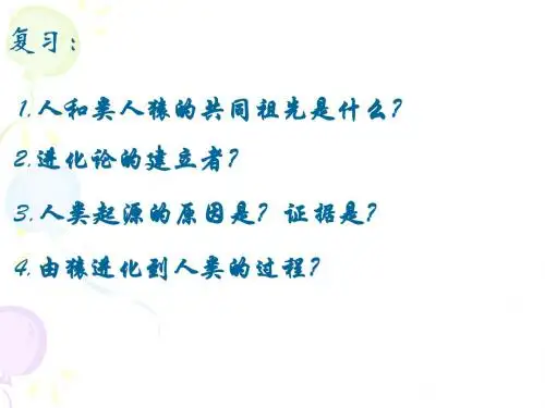 人的生殖(人教版)PPT课件1