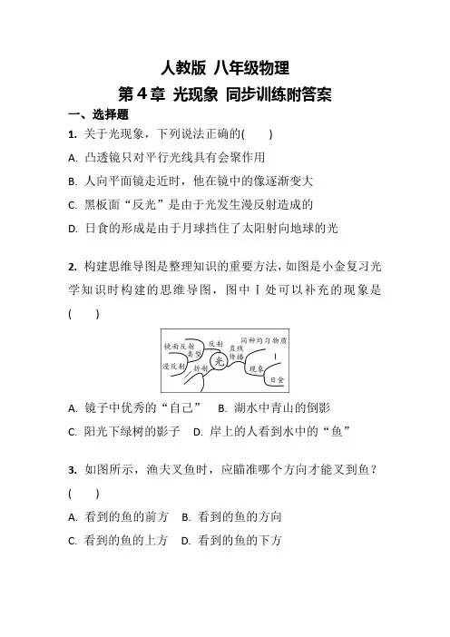 人教版 八年级上册物理 第4章 光现象 同步训练含答案