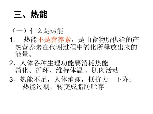 三、热能