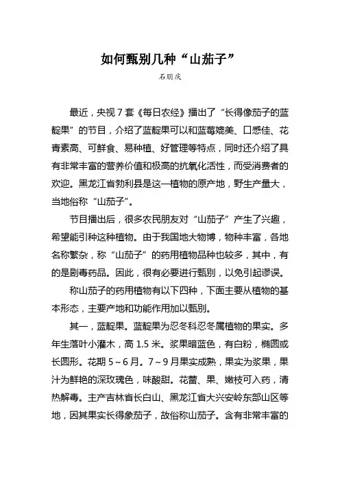 如何甄别几种“山茄子”