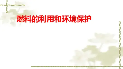 北师大版九年级物理全册 10.6 燃料的利用和环境保护(共18张PPT)