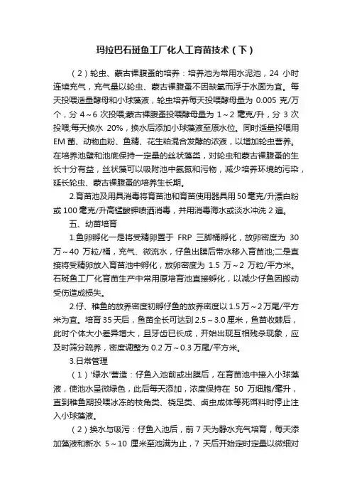 玛拉巴石斑鱼工厂化人工育苗技术（下）